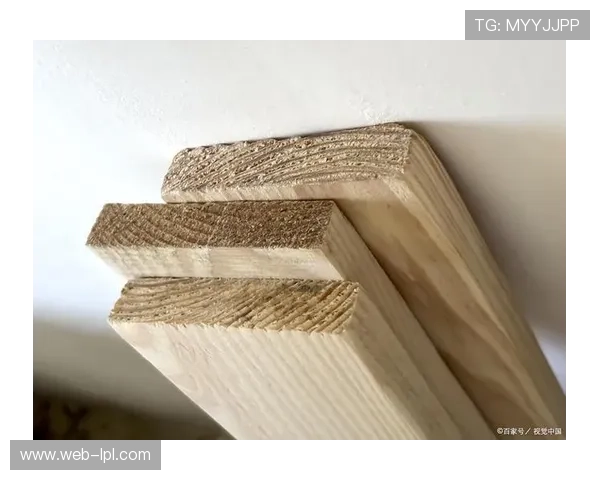 底板木板磨损规则解读：技术违规如何影响赛果